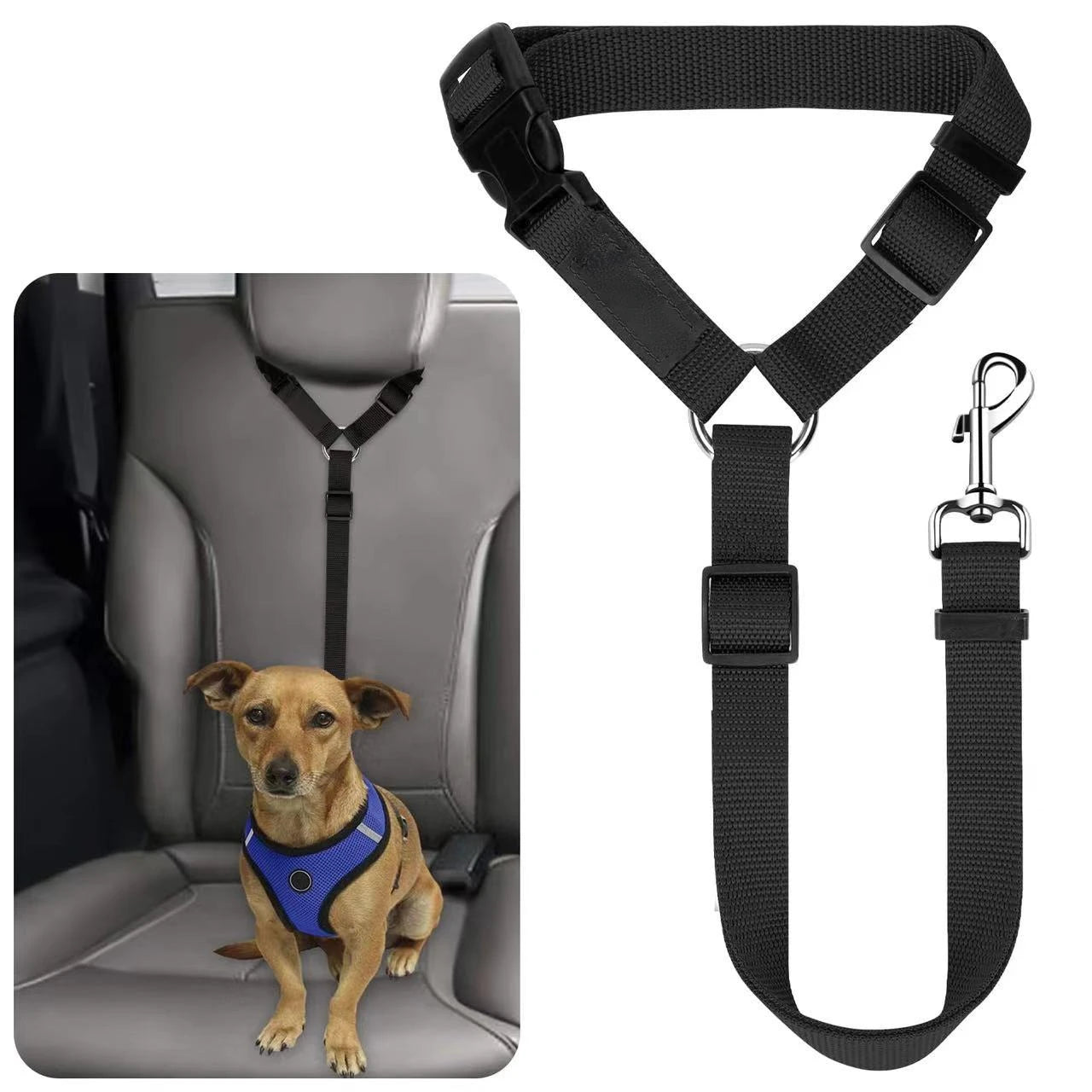 Two-in-one Car Seat Nylon Leash