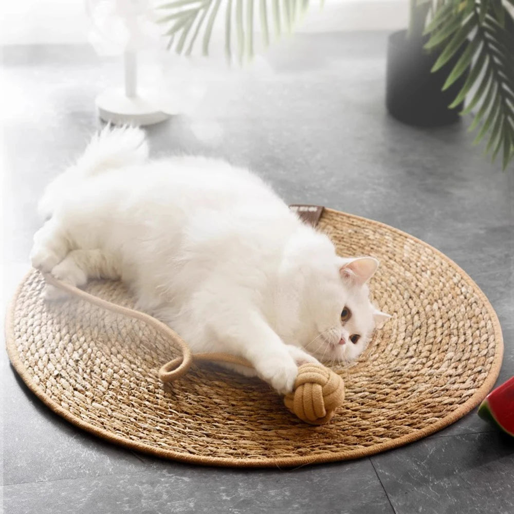 Cat Nails Scraper Mat