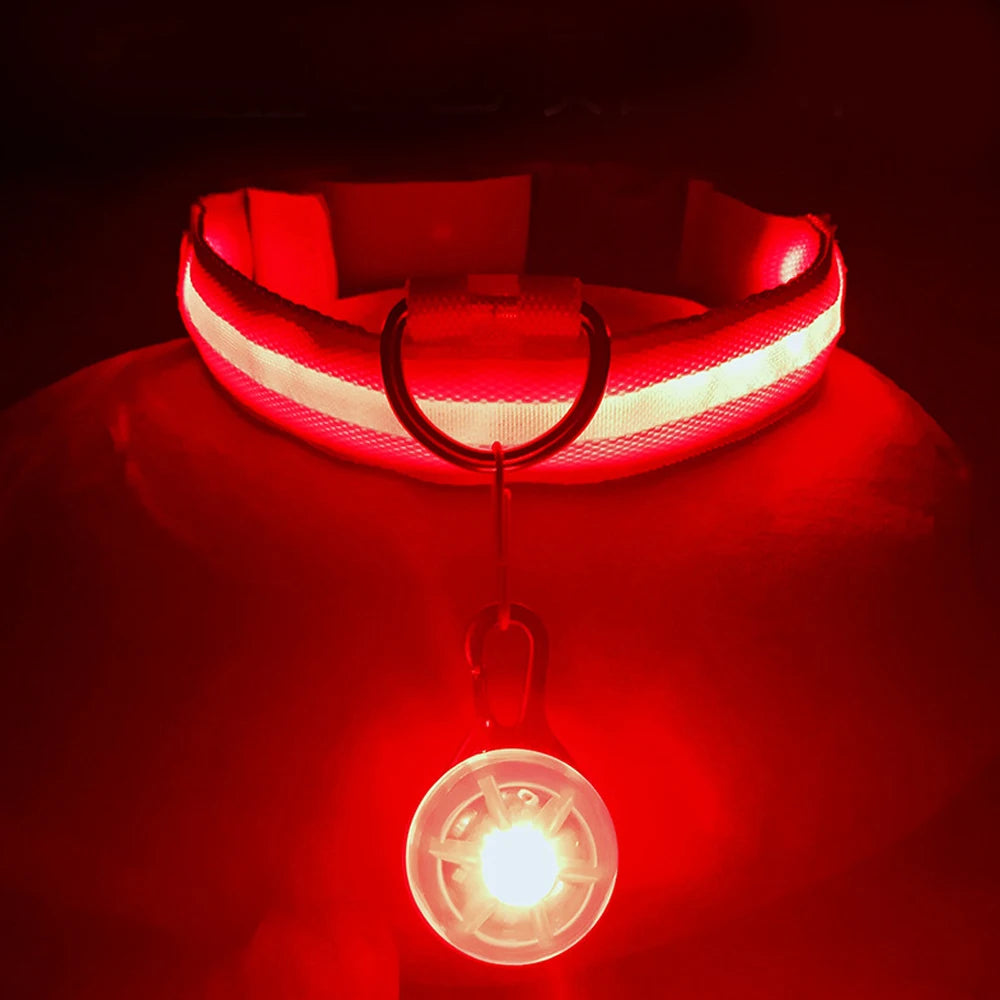 Night Safety Collar With Pendant