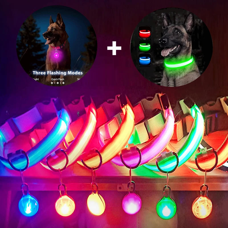 Night Safety Collar With Pendant