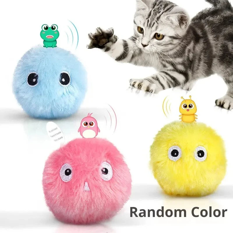 Boredom Relief  Cat Toy