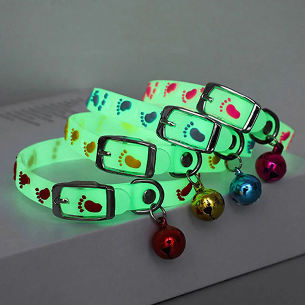 Fluorescent Silicone Cat Collar